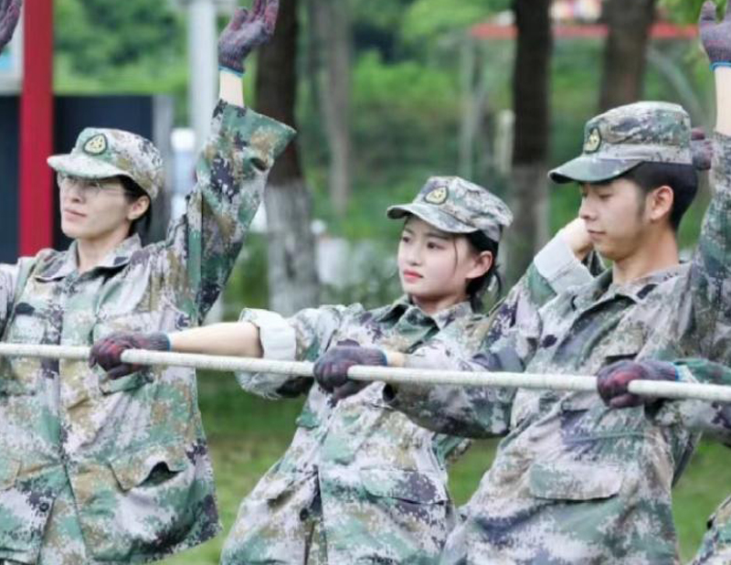 生命律动 | 动力圈